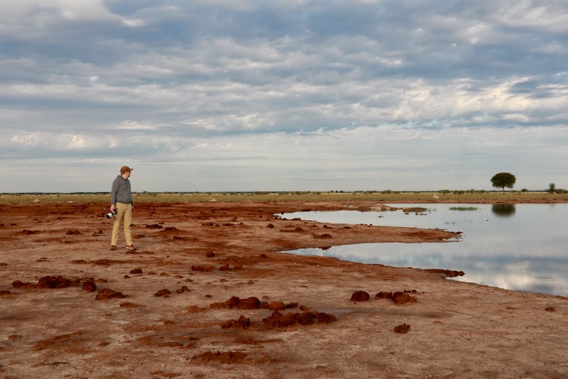 Wildlife photography in Africa